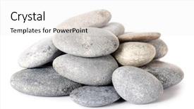  Presentation with group of wildlife crocodile isolated - Amazing presentation theme having pile rock - group of stones isolated backdrop and a white colored foreground