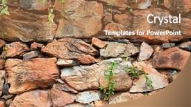  Presentation with rock wall - Presentation having pile wall with some green background and a coral colored foreground