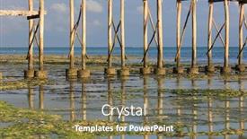  Presentation with zanzibar - Presentation with piles of bridge on the ocean at low tide zanzibar background and a violet colored foreground