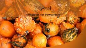  Presentation with piles - 