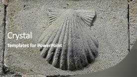  Presentation with pilgrim - Amazing PPT layouts having pilgrim's shell venera symbol backdrop and a  colored foreground