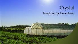  Presentation with greenhouse - Audience pleasing theme consisting of pillars growth - greenhouse backdrop and a light blue colored foreground