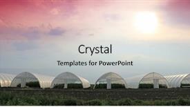  Presentation with greenhouse - Slide deck having pillars growth - greenhouse background and a light gray colored foreground