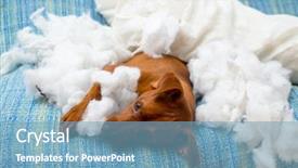  Presentation with hard work - Audience pleasing presentation theme consisting of pillow tired of hard work backdrop and a teal colored foreground