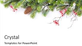  Presentation with snow tree - Presentation design with pine - christmas tree branch with snow background and a white colored foreground
