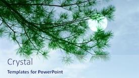  Presentation with blue sky - Presentation theme consisting of pine-and-the-moon background and a sky blue colored foreground