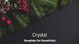  Presentation with pine cone - Theme featuring pine-christmas-tree-branches-cone background and a dark gray colored foreground