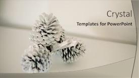  Presentation with pine cone - Slide set featuring pine-cone-as-decorative-elemnet background and a lemonade colored foreground