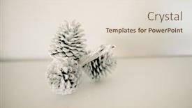  Presentation with pine cone - Presentation design consisting of pine-cone-as-decorative-elemnet background and a lemonade colored foreground