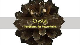  Presentation with pine cone - PPT theme featuring pine cone isolated on a white background and a tawny brown colored foreground