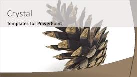  Presentation with pine cone - Amazing PPT theme having 3d render of green house in the box backdrop and a light gray colored foreground