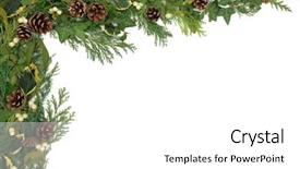  Presentation with winter border - Beautiful theme featuring pine cones - christmas background border with mistletoe backdrop and a white colored foreground