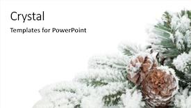  Presentation with snow tree - Slides having pine cones - fir tree branch covered background and a white colored foreground