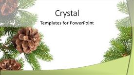  Presentation with framework - PPT theme featuring pine cones and needles framework background and a white colored foreground