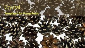  Presentation with pine - Presentation enhanced with pine cones background background and a tawny brown colored foreground