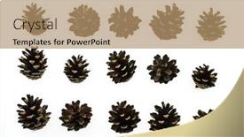  Presentation with pine - Slides featuring pine cones isolated on white background and a coral colored foreground