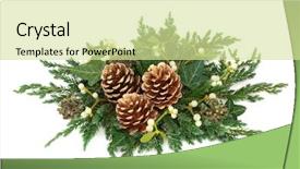  Presentation with white gold - PPT layouts enhanced with pine cones mistletoe cedar cypress background and a soft green colored foreground