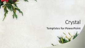  Presentation with winter border - Amazing presentation design having pine cones on old parchment backdrop and a white colored foreground