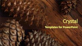  Presentation with directional - Beautiful PPT theme featuring plants stethoscope - medical marijuana background with blank backdrop and a white colored foreground.