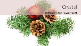  Presentation with spruce - Presentation theme having pine-cones-with-spruce-tree background and a lemonade colored foreground