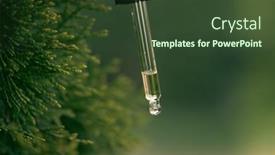  Presentation with aromatherapy massage - Presentation design featuring pine-essential-oil-dripping background and a tawny brown colored foreground