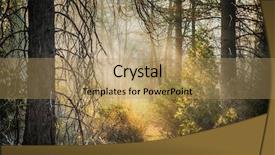  Presentation with biomedical signal processing - Theme enhanced with pine forest - early morning light in mariposa background and a coral colored foreground