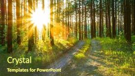  Presentation with woods - Theme having pine forest - sunset in the woods background and a tawny brown colored foreground