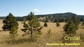  Presentation with pine forest - Theme enhanced with pine forest and fields background and a tawny brown colored foreground