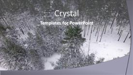  Presentation with pine forest - Colorful presentation theme enhanced with pine-forest-at-winter-time backdrop and a gray colored foreground