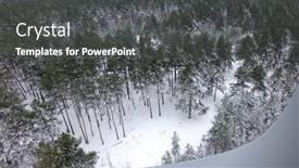  Presentation with pine forest - Audience pleasing presentation design consisting of pine-forest-at-winter-time backdrop and a dark gray colored foreground