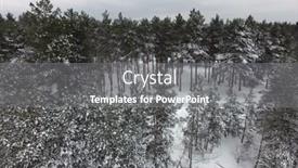  Presentation with pine forest - Presentation theme featuring pine-forest-at-winter-time background and a gray colored foreground