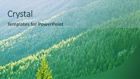  Presentation with pine forest - Amazing slides having pine forest covering the mountainside backdrop and a  colored foreground