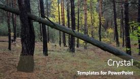  Presentation with pine forest - Slide deck having pine-forest-in-kiev-region background and a tawny brown colored foreground