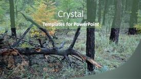  Presentation with eastern - Theme enhanced with pine-forest-in-kiev-region background and a seafoam green colored foreground