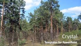  Presentation with pine forest - Audience pleasing slide deck consisting of pine-forest-in-kiev-region backdrop and a violet colored foreground
