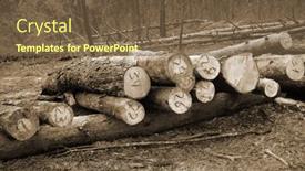  Presentation with pine forest - Theme enhanced with pine-forest-in-kiev-region background and a  colored foreground