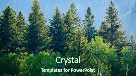  Presentation with pine trees - Presentation design having pine forest in wilderness mountains background and a forest green colored foreground