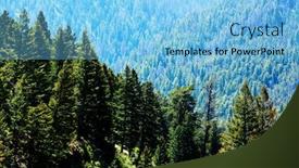  Presentation with wilderness - Slide deck enhanced with pine-forest-in-wilderness-mountains background and a light blue colored foreground