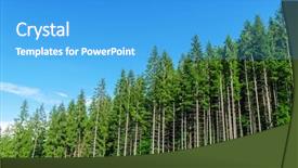  Presentation with deep blue - Beautiful slides featuring pine forest under deep blue backdrop and a teal colored foreground