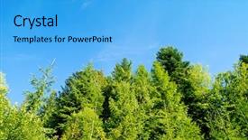  Presentation with deep blue - Beautiful slide deck featuring pine forest under deep blue sky in mountain carpathians backdrop and a light blue colored foreground