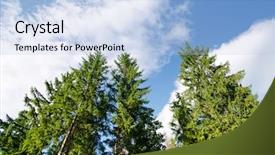  Presentation with pine forest - Slide deck featuring summer nature tree tops - pine forest under deep blue background and a light blue colored foreground