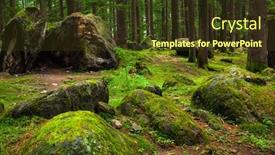  Presentation with pine forest - PPT theme enhanced with pine forest with rocks manali himachal pradesh india background and a tawny brown colored foreground