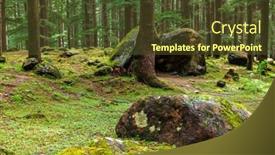  Presentation with himachal pradesh - Presentation design with pine-forest-with-rocks-manali background and a tawny brown colored foreground