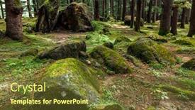  Presentation with himachal pradesh - Colorful presentation theme enhanced with pine-forest-with-rocks-manali backdrop and a tawny brown colored foreground