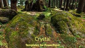  Presentation with pine forest - PPT theme having pine-forest-with-rocks-manali background and a tawny brown colored foreground