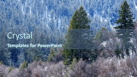  Presentation with winter storm - Presentation theme enhanced with pine-forest-with-winter-snow background and a ocean colored foreground
