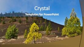  Presentation with pine - PPT theme consisting of pine grove on the rocks background and a teal colored foreground