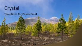  Presentation with pine - Cool new PPT layouts with pine grove on the rocks backdrop and a light blue colored foreground