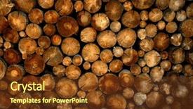  Presentation with pine - Amazing presentation theme having pine logs in fire backdrop and a tawny brown colored foreground