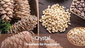  Presentation with pine cone - PPT layouts featuring pine nuts in the spoon background and a coral colored foreground